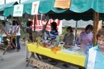 Bazar nevladnih organizacij 2012 v Črnomlju