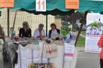 Bazar nevladnih organizacij 2012 v Črnomlju