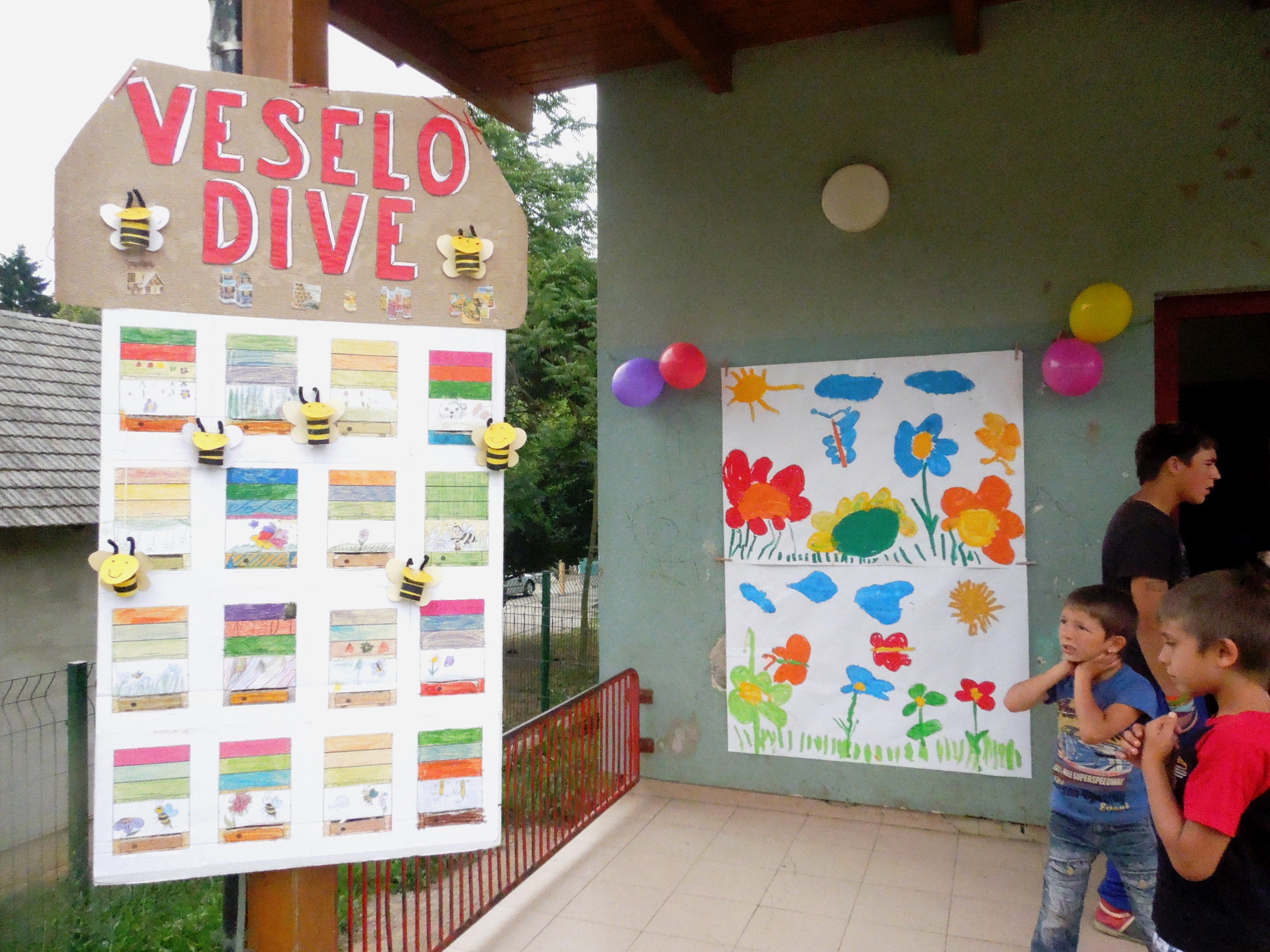 Veselo Dive