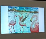 GreenEU na Cipru: Flamingo iz plastičnih zamaškov?