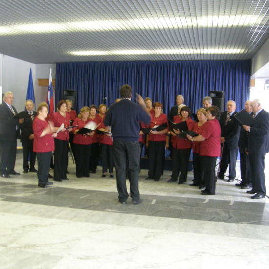 Bazar NVO v Novem mestu