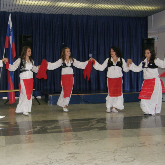 Bazar NVO v Novem mestu